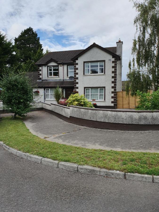 Rheban Bnb Athy Exteriér fotografie