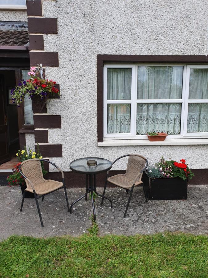Rheban Bnb Athy Exteriér fotografie