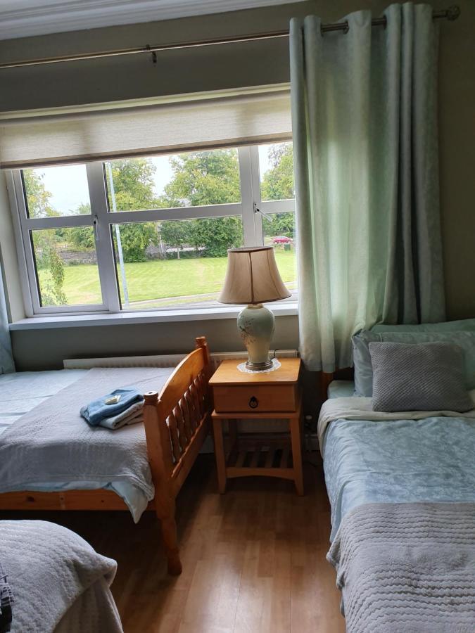 Rheban Bnb Athy Exteriér fotografie