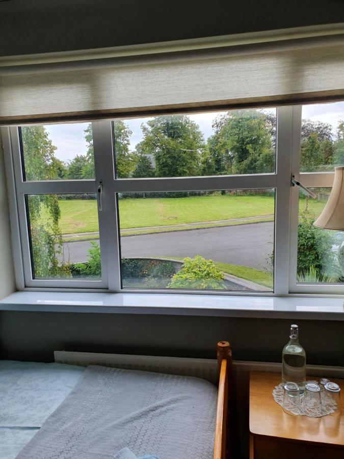 Rheban Bnb Athy Exteriér fotografie