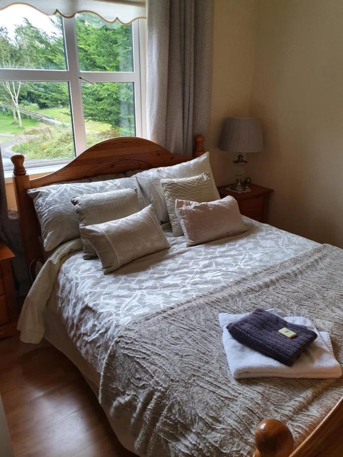 Rheban Bnb Athy Exteriér fotografie