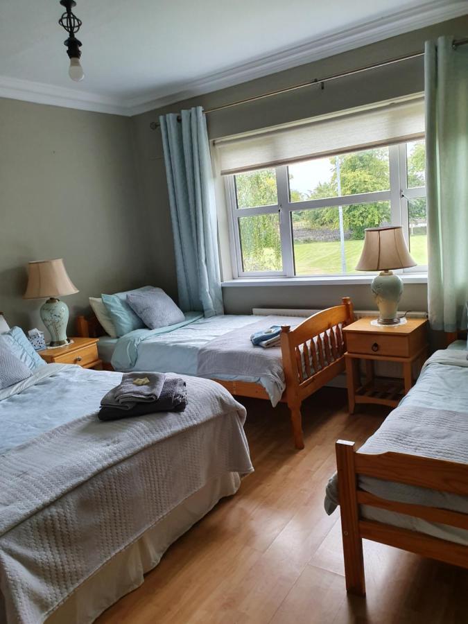 Rheban Bnb Athy Exteriér fotografie